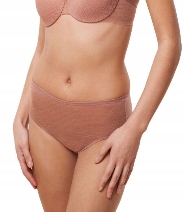 Triumph Figi SIGNATURE SHEER MAXI 38